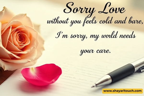 love Sorry shayari